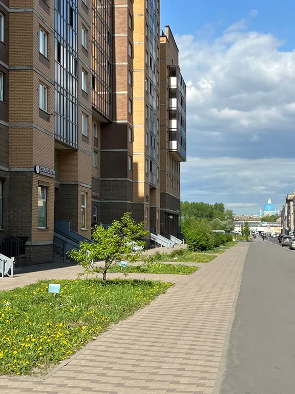 Студия в шаговой доступности от метро Балтийская (5 мин пешком), центр