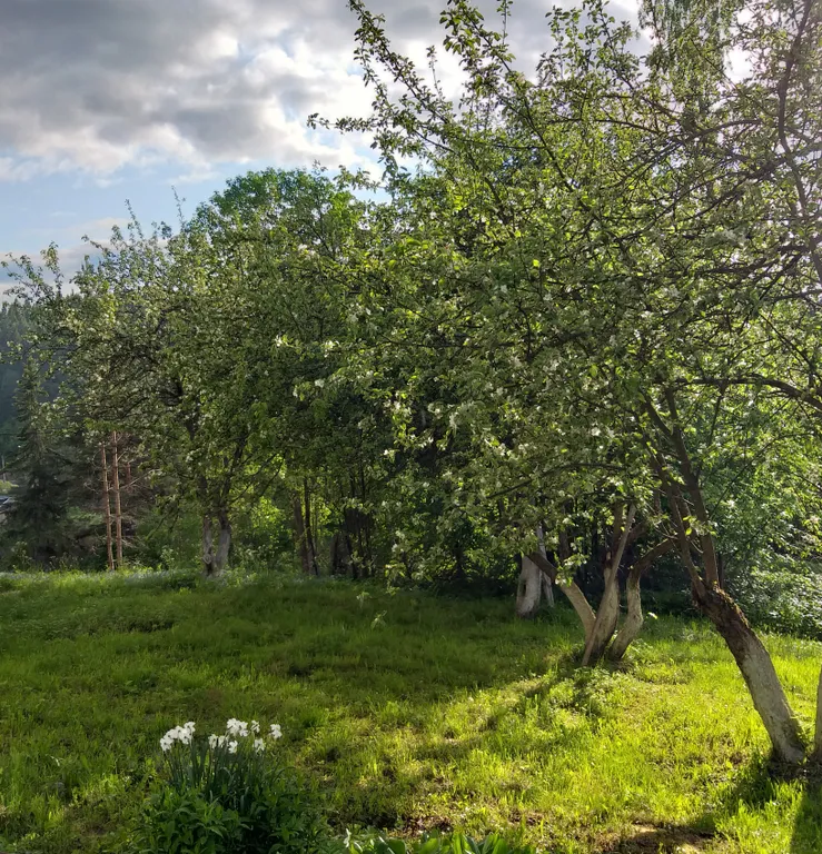 Дом на скале