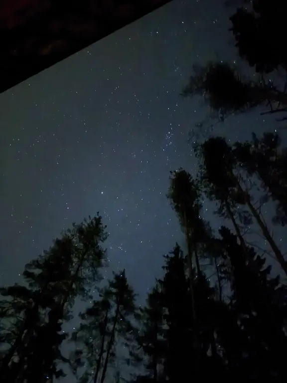 Дом в лесу рядом с озером