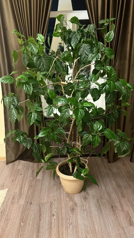 Квартира-студия в центре города с видом на Марьинский сквер