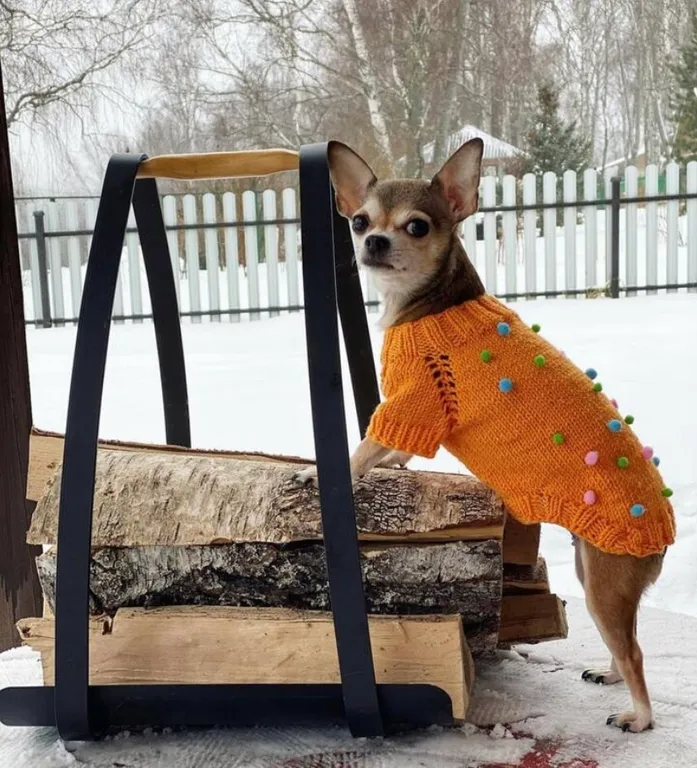 Дом на участке 6 соток