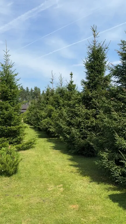 Гостевой дом с баней