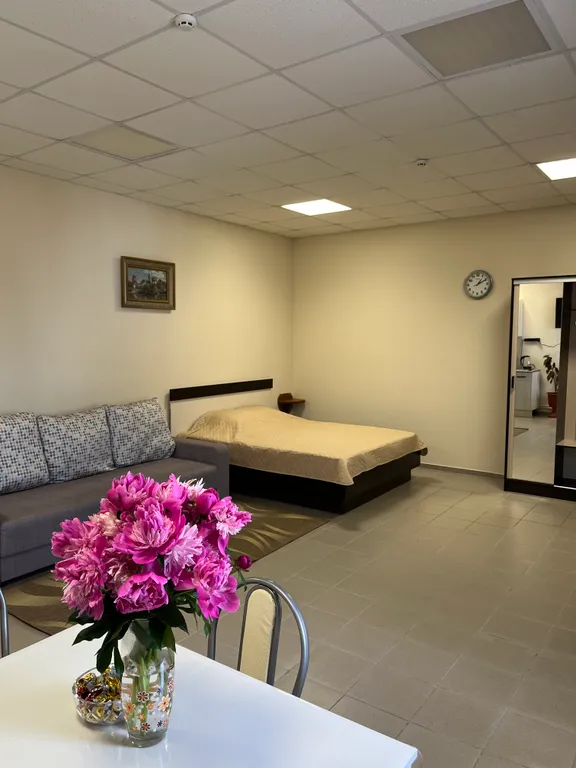 Квартира Уютный номер — аренда посуточно в Павловск