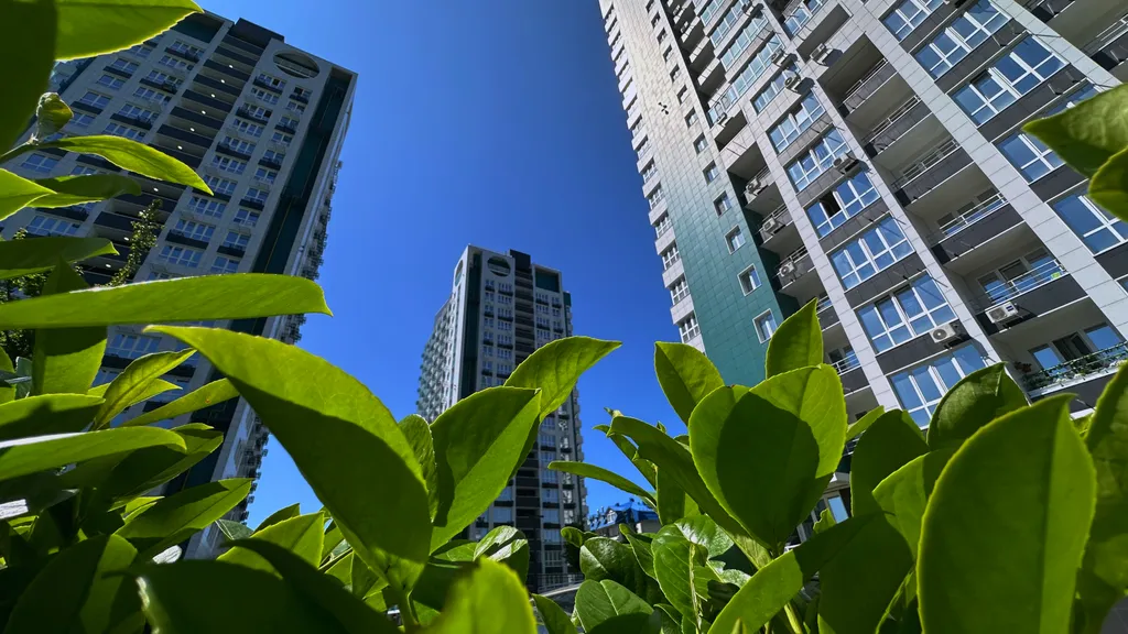 Студия в эко стиле в доме бизнес класса