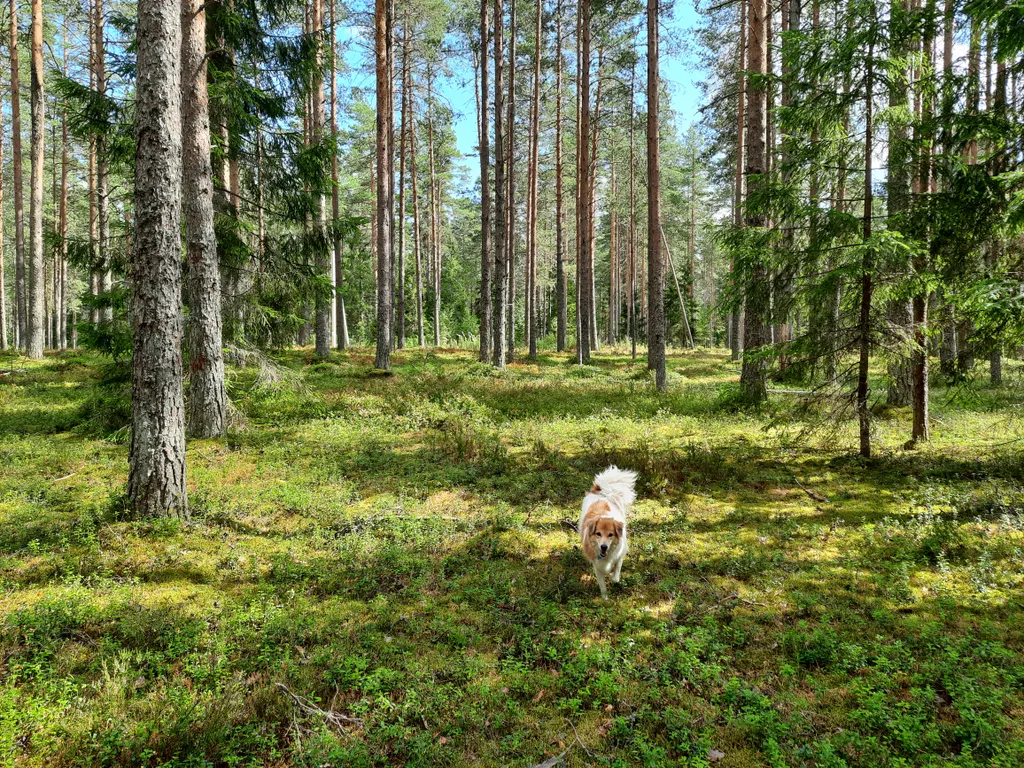 Домик с видом на озеро