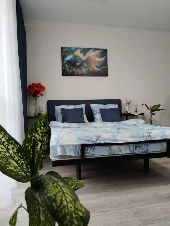 Уютная студия