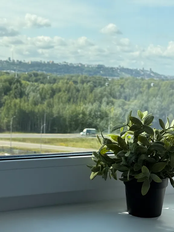 Комфортная квартира на 9 этаже