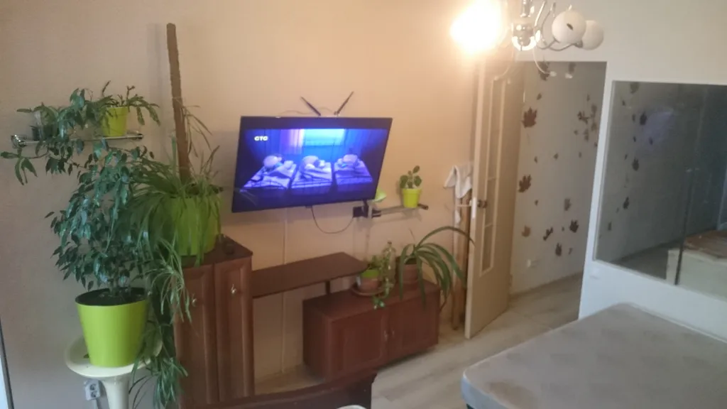 Студия у Шуваловского парка