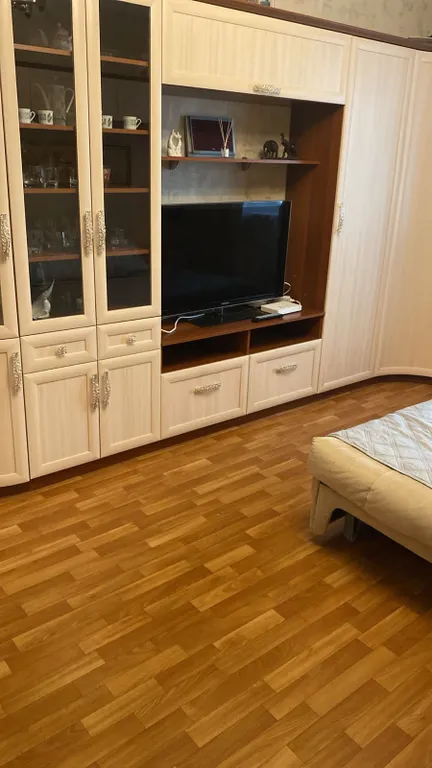 Однокомнатная квартира рядом с метро — аренда посуточно в Москва