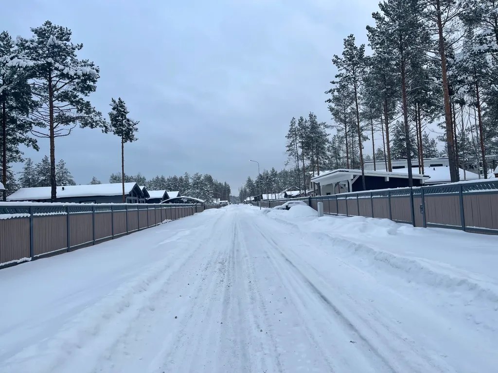 Коттедж Новогодний котедж в 30 минутах от центра Санкт-Петербурга — Сестрорецк