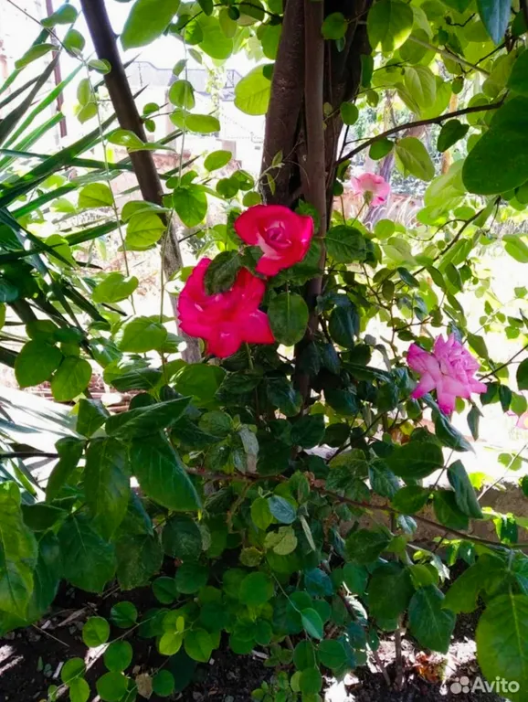 Современный дом в исторической части города!!!