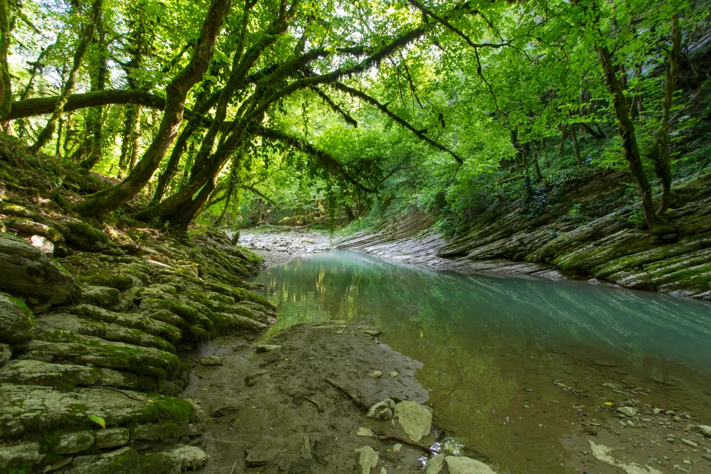 Коттедж Домик в горах — Адлер