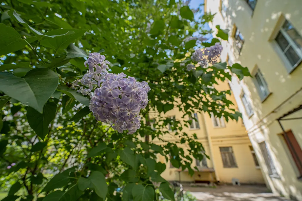 Квартира Уютная двухкомнатная квартира в центре — Санкт-Петербург