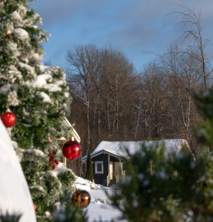 Уютный дом в природном окружении с развитой инфраструктурой