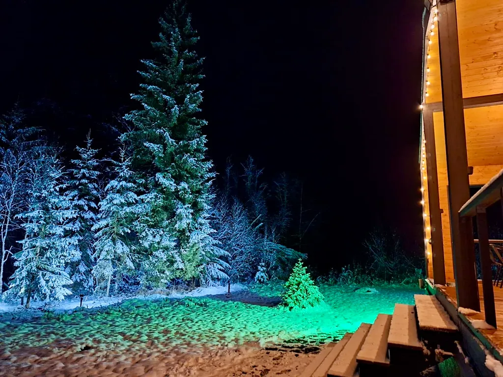 Дом с панорамными окнами в лес