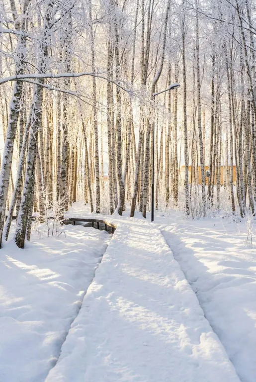 Мобильный дом с видом на озеро