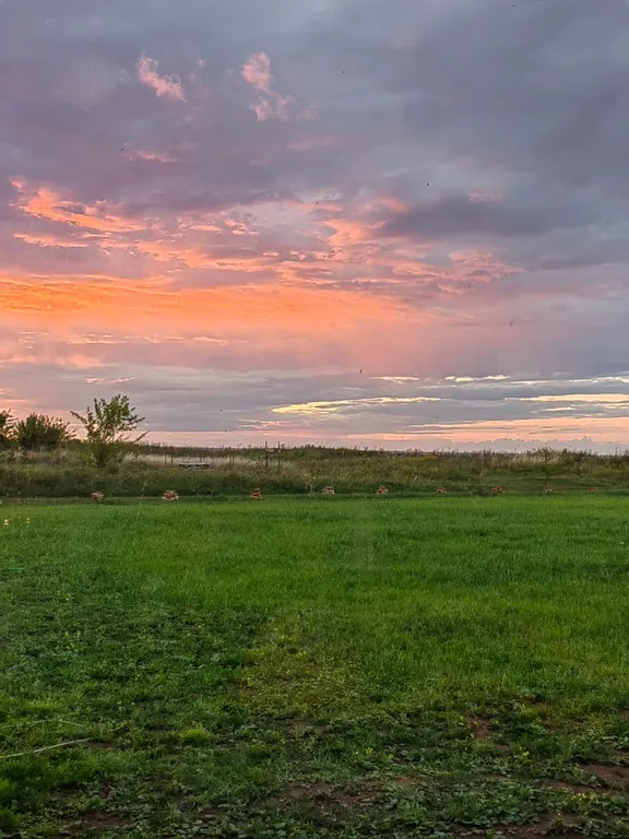 Домик с терассой на берегу озера Ильмень