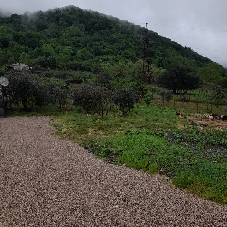 Коттедж 3-комнатный Дом — Гагра