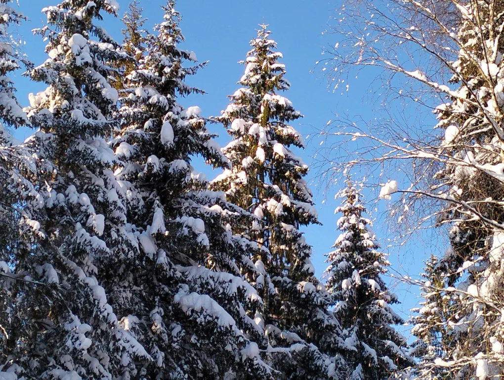 Уютный домик на Валдае