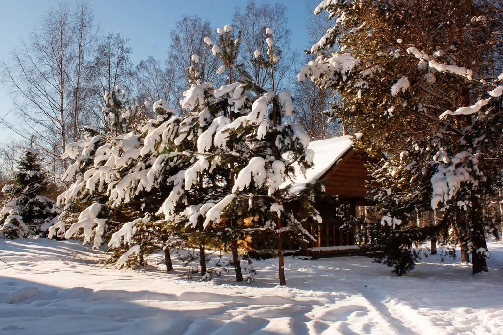 Коттедж Коттедж Уютный таунхаус с камином — Беличье