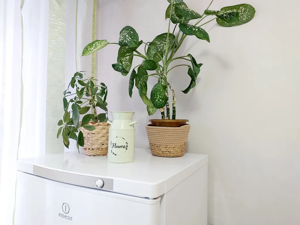 Солнечные апартаменты в спальном районе города