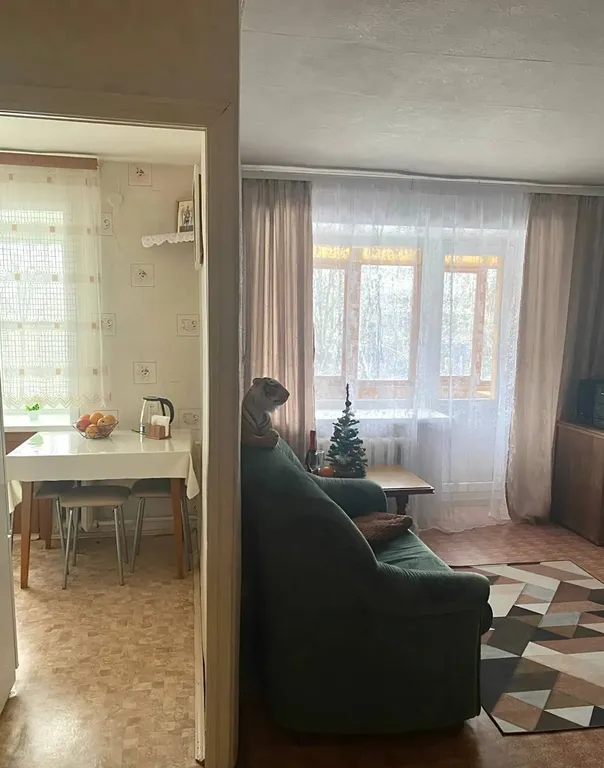 Уютная двушка в центре города с видом на сквер