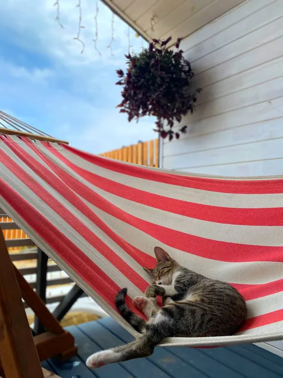 Дома у моря, первая линия, вид на море