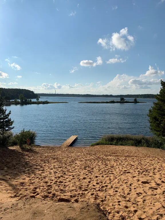 Дом с баней в сосновом бору на озере