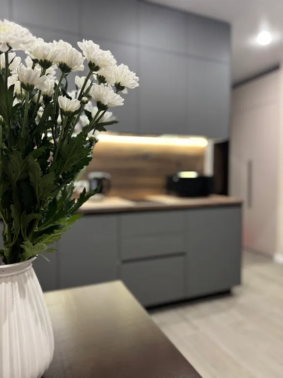 Уютная студия в центре города