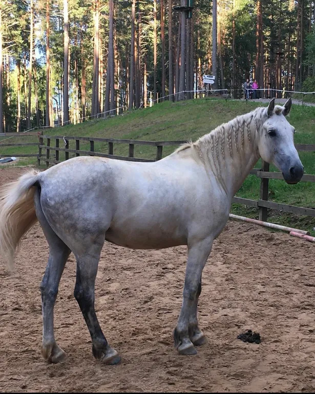 Современный загородный дом со всеми удобствами рядом с озером