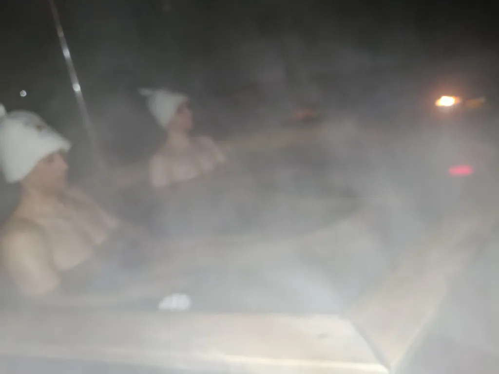 Аренда дома с чаном