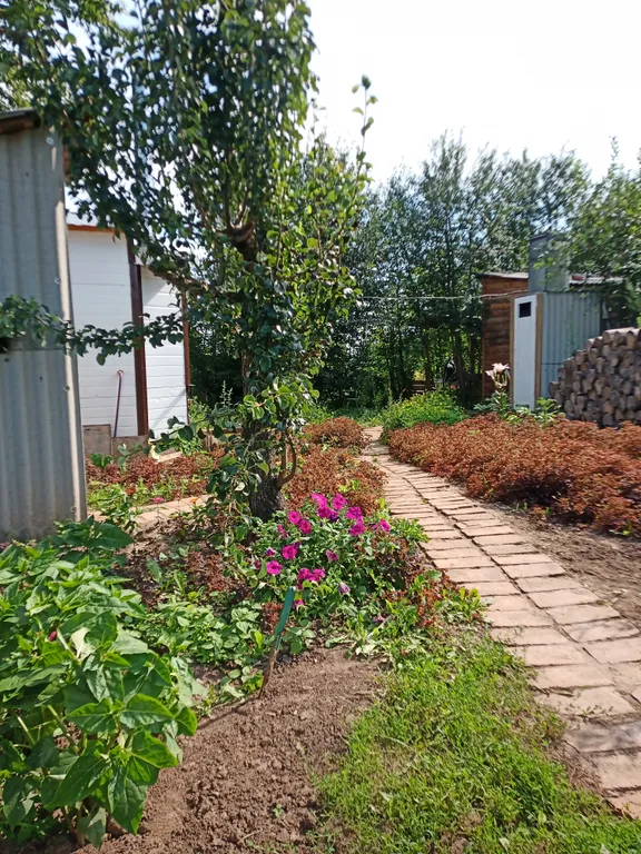 Вишневый домик