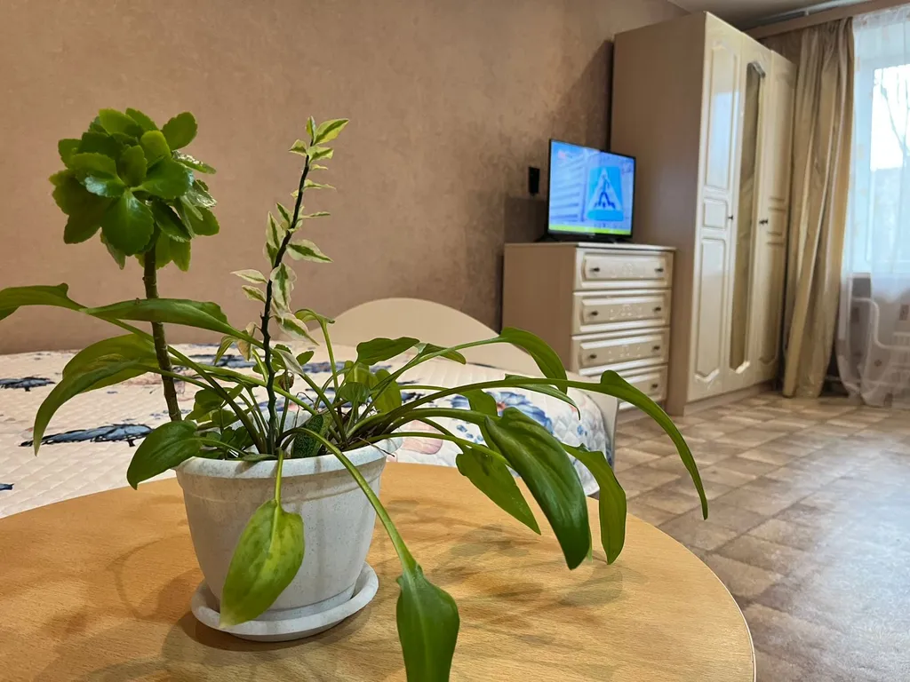 Квартира рядом с ИПСА