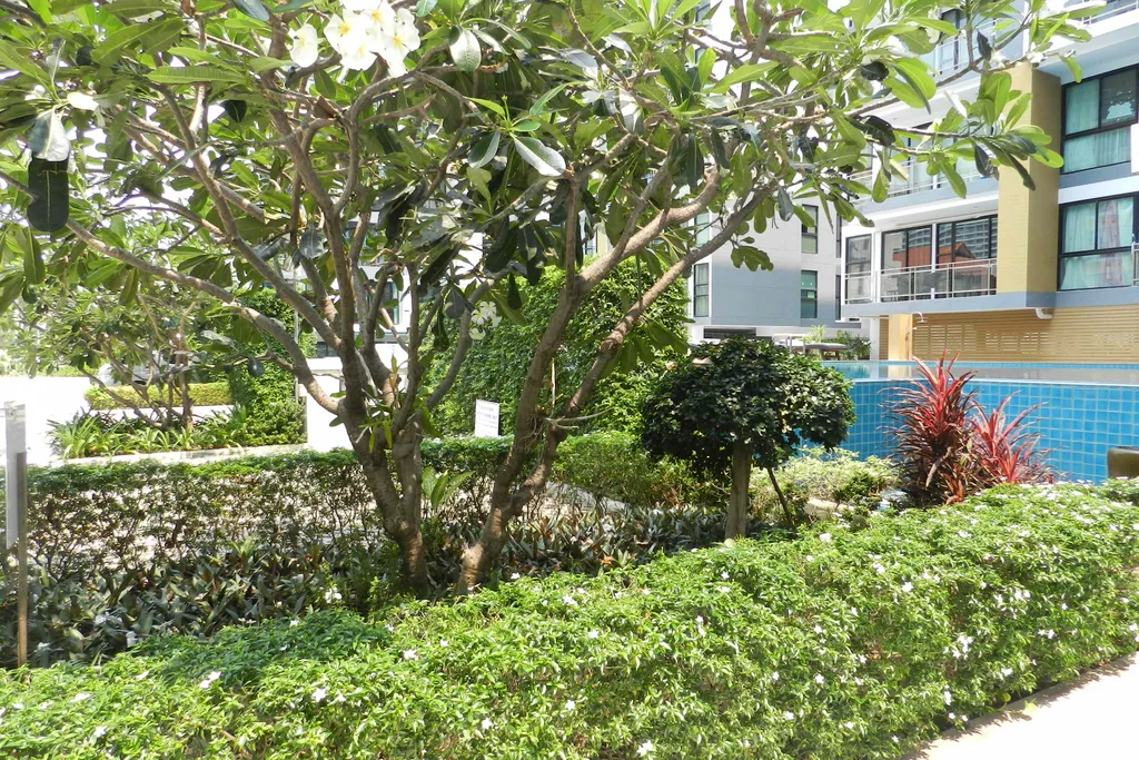 Апартамент с 1 спальней и гостиной у моря