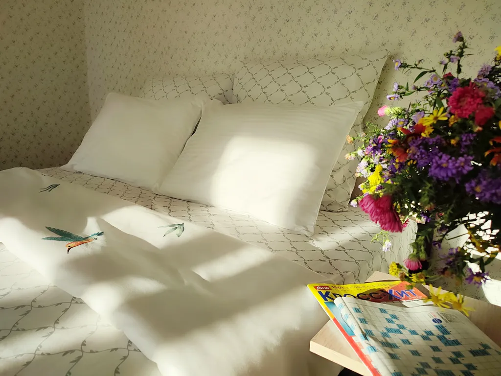 Апартамент Центральный