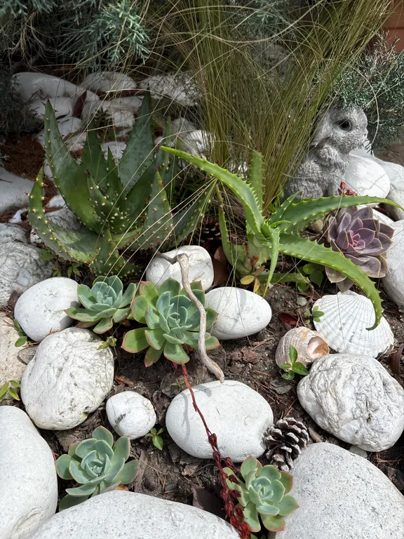 Квартира Делюкс комната с удобствами в лучшем районе Сириуса — Сириус