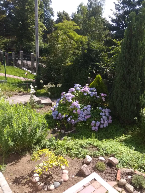 Уютная квартира в старинном немецком доме