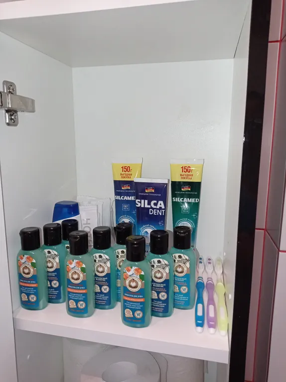 Студия - лофт с панорамным видом в центре Листвянки