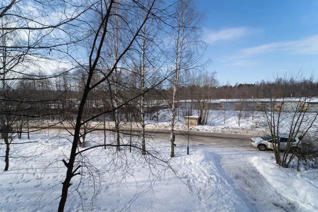 Светлая квартира в шаговой доступности от Ледового Дворца