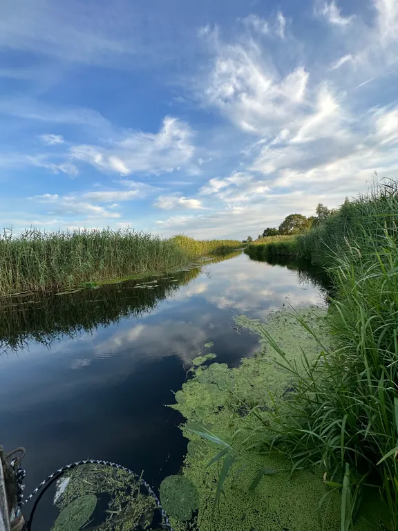 Тихое и комфортное место на берегу реки Лесная