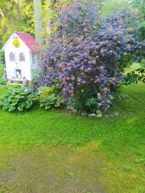 Домик для отдыха