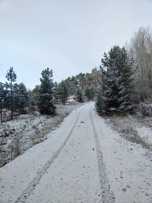 Современный гостевой дом