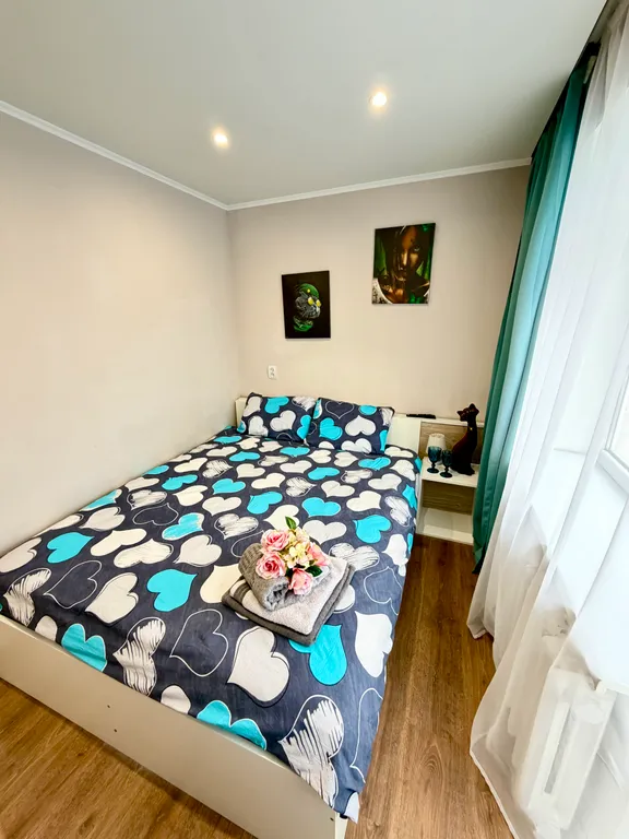 Квартира в центре города, рядом музей Янтаря, верхнее озеро и северный вокзал