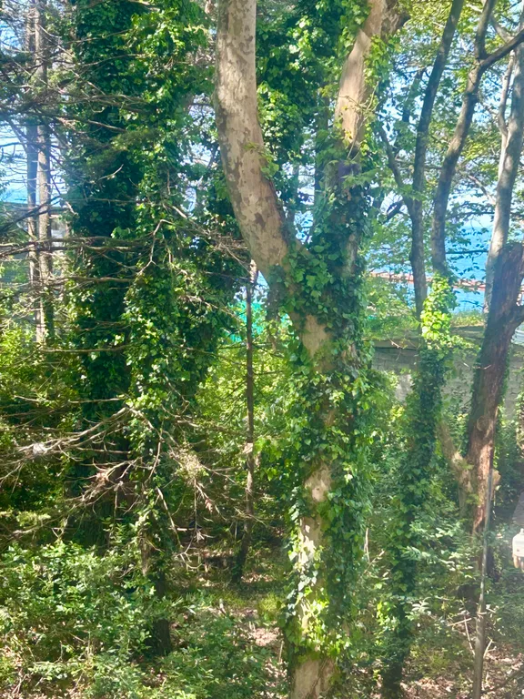 Квартира 1-комнатная Квартира — Адлер