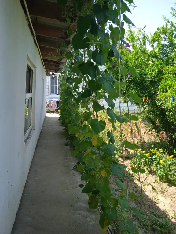 Домик у моря