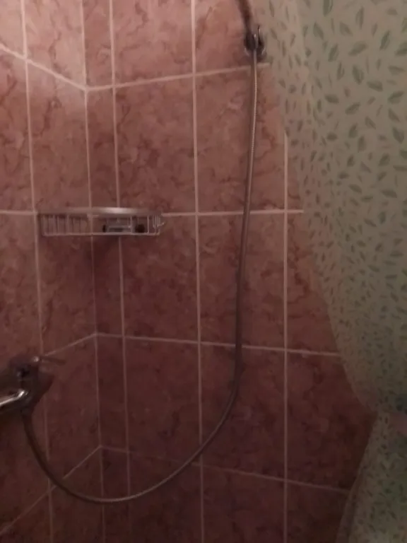 Квартира Уютная студия с миникухней и балконом — Нижняя Хобза