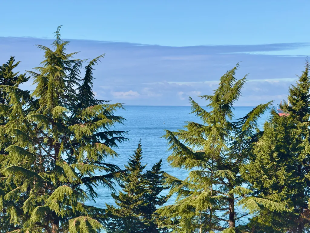 Квартира Great studio at Mziuri gardens — Батуми