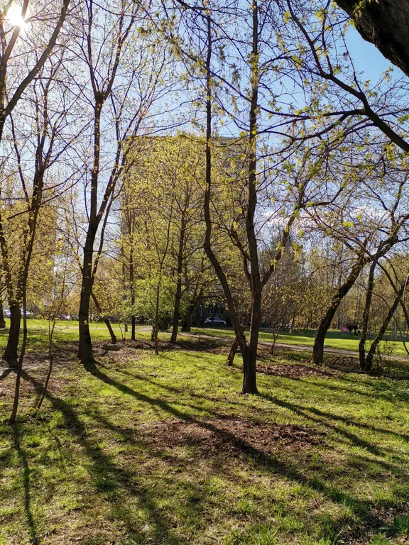 Квартира Квартира Солнечный дом — Москва