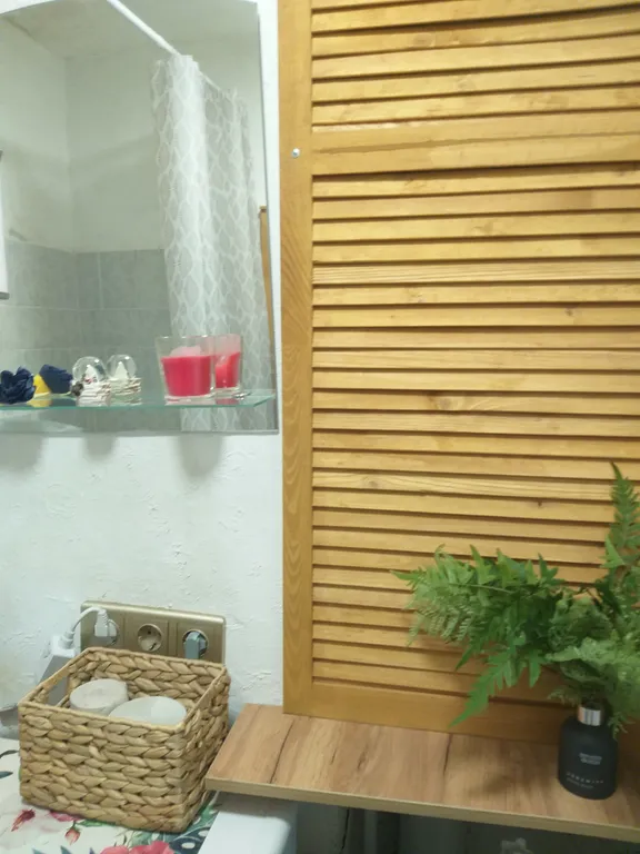 1-комнатная квартира в центре города