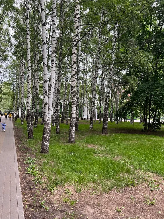 Квартира Квартира Две спальни, центр города вид на парк Пушкина метро, покровка и Кремль — Нижний Новгород